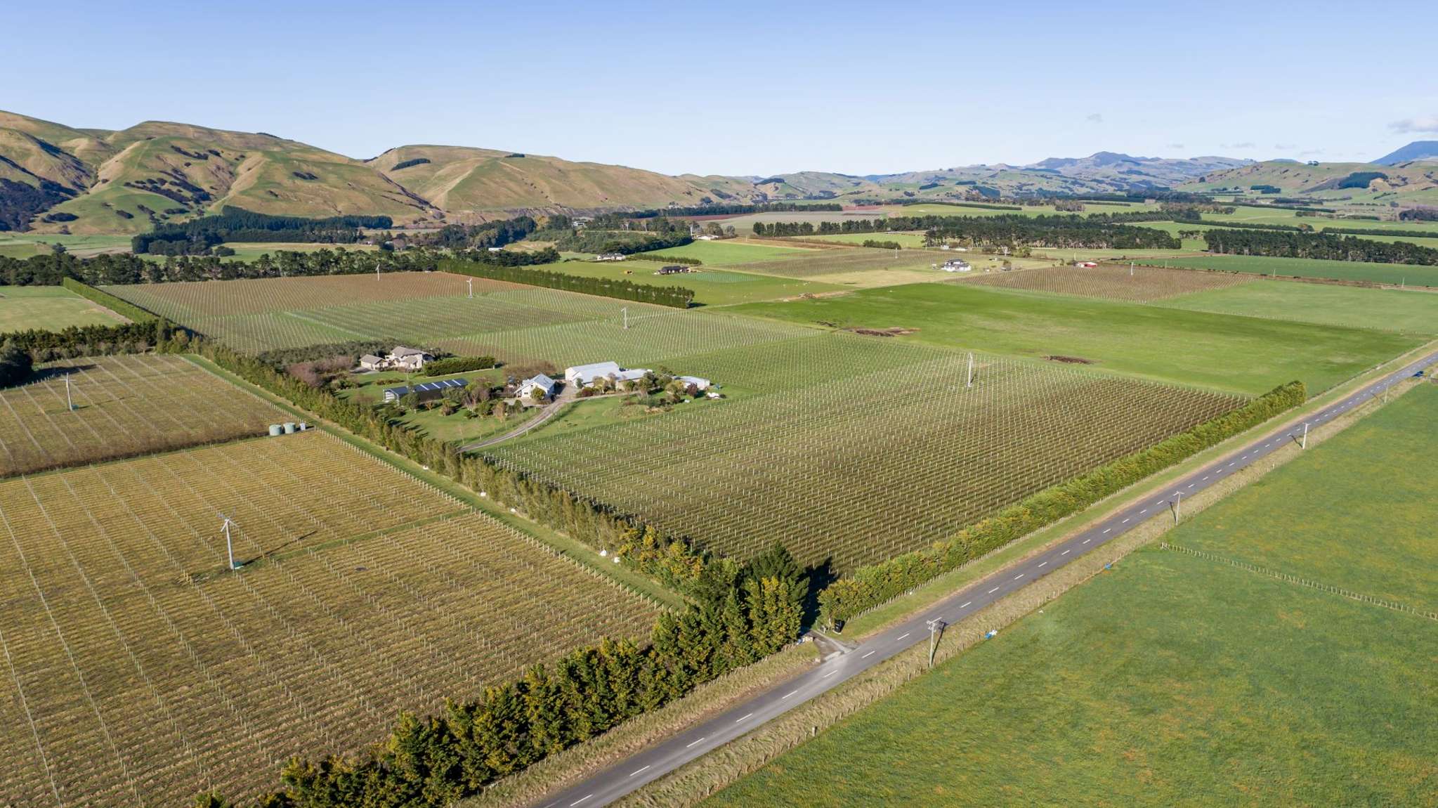 Martinborough vineyard estate for sale