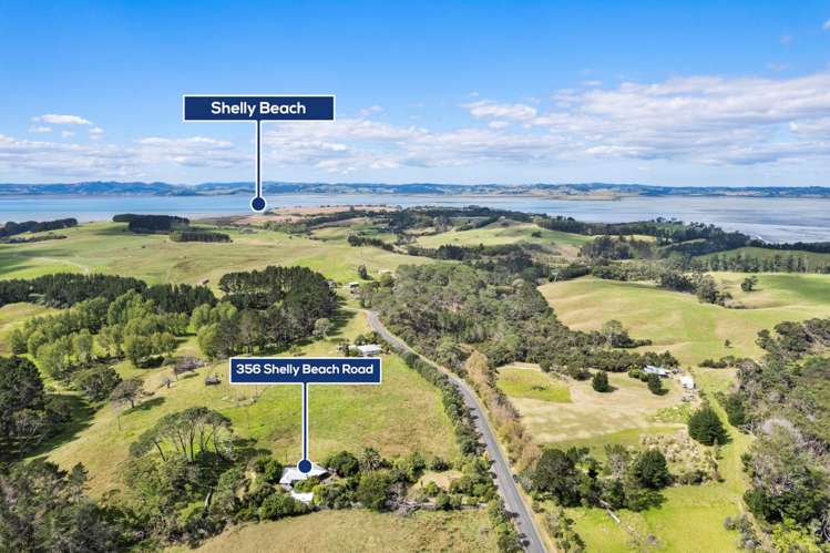 356 Shelly Beach Road South Head_23