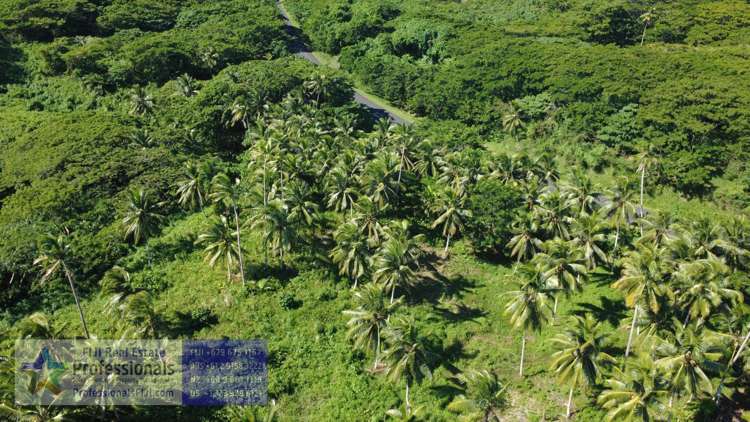 Address withheld Savusavu_18