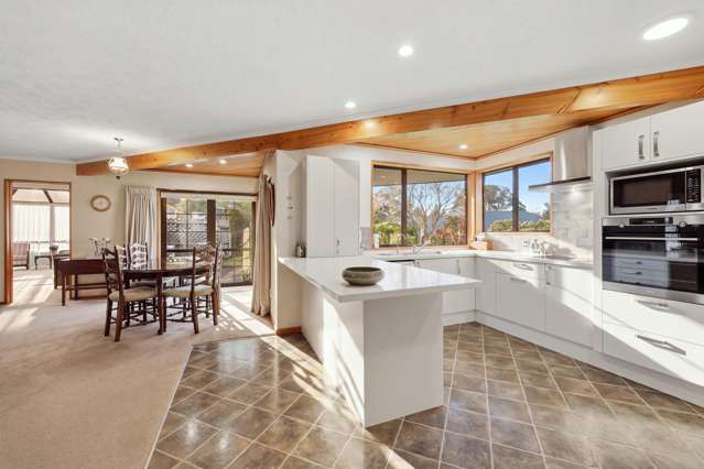 21 Ferntree Drive Wakari_2