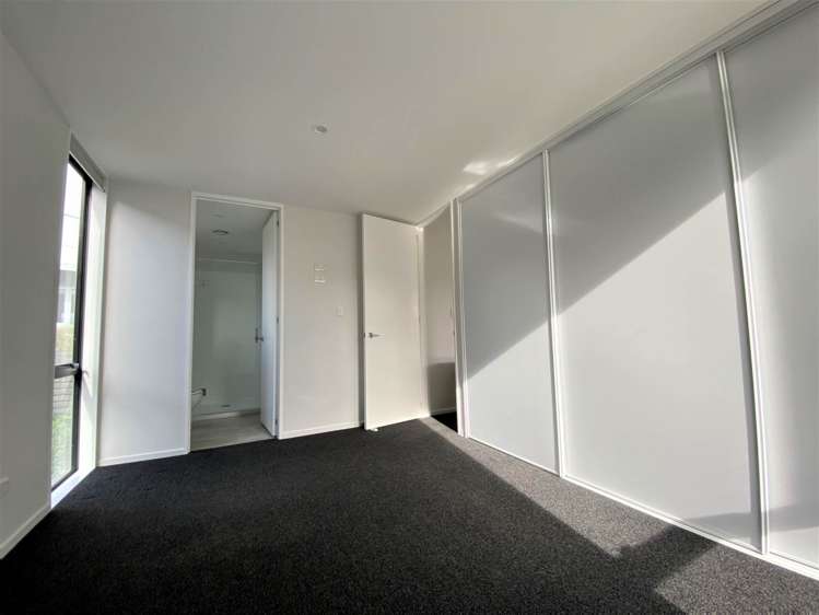 Beach Road Campbells Bay_11