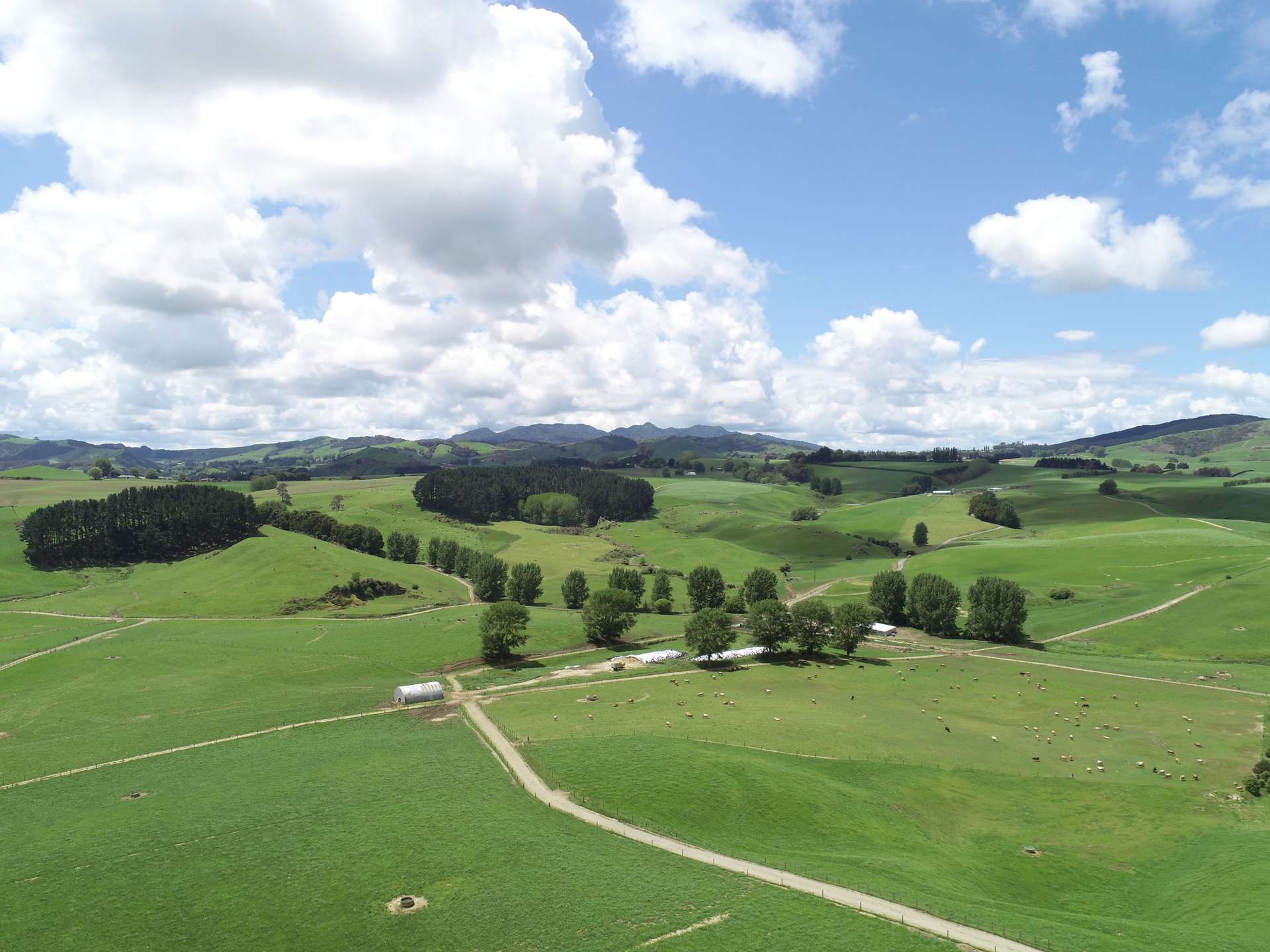 1250 Arapuni Road Parawera_0