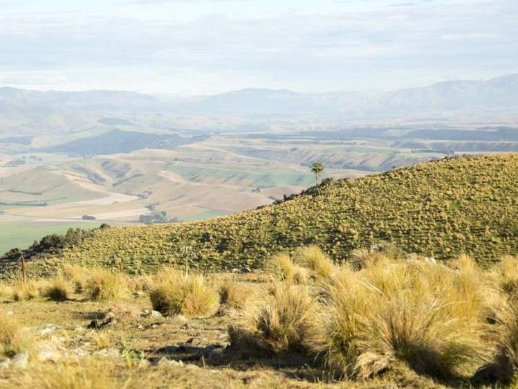 126 Mcphersons Road Taiko_11