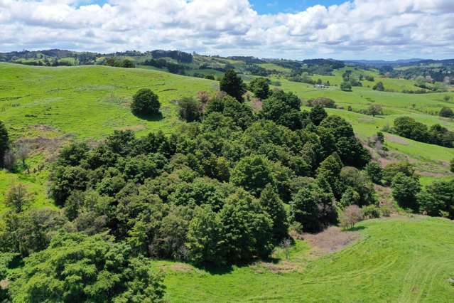 Lot/2 Wearmouth Road Paparoa_4