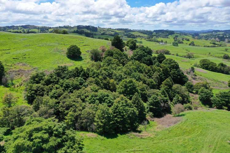 Lot/2 Wearmouth Road Paparoa_4