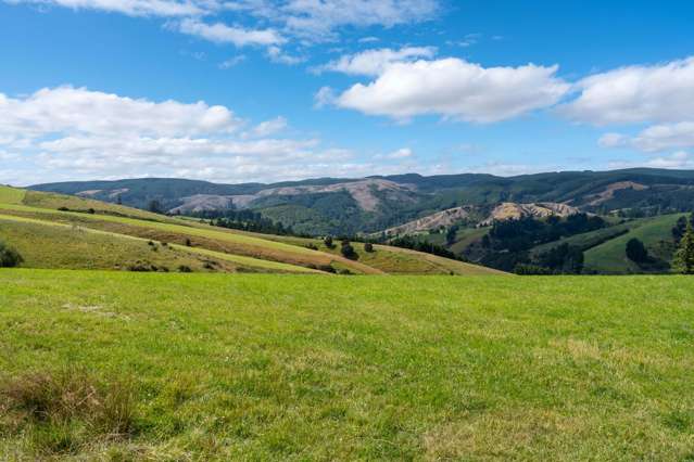 00 Blue Spur Road, Gabriels Gully Lawrence_3