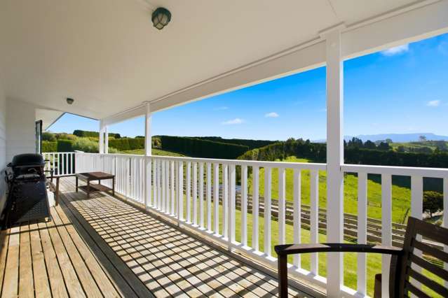 374 Youngson Road Whakamarama_3