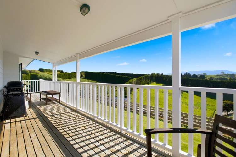 374 Youngson Road Whakamarama_2