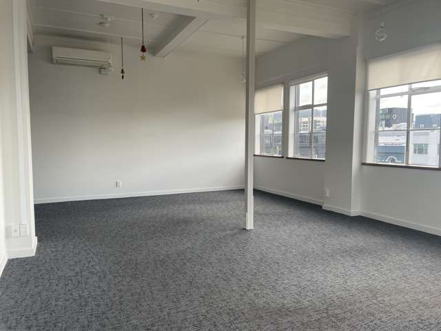 15 Cambridge Terrace Te Aro_2