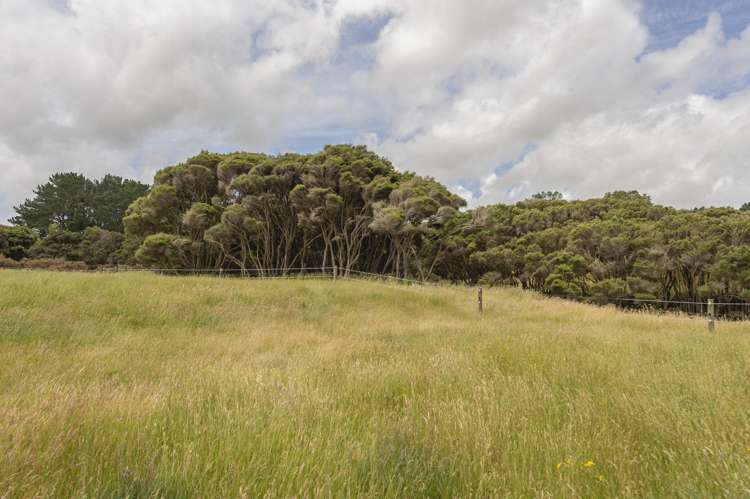 1358 Makirikiri Road Marton_43