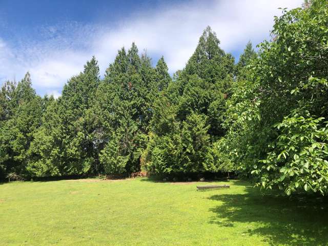 76 Willow Flat Road Kotemaori_3