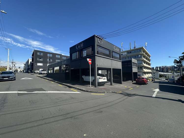 7 - 9 Earle Street Parnell_6