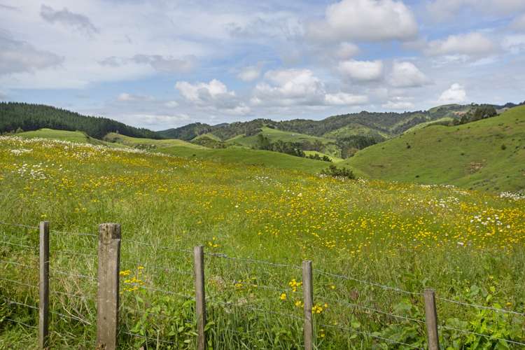 36 Joseph Street Pukemiro_18