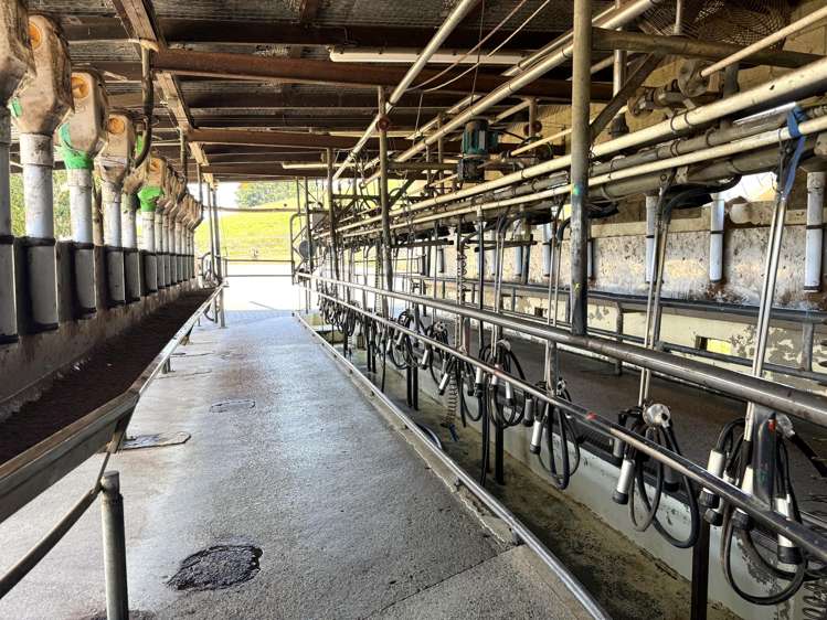 219 Waitomo Valley Road Otorohanga_26