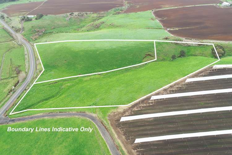 969 Tuakau Bridge-Port Waikato Roa Te Kohanga_2