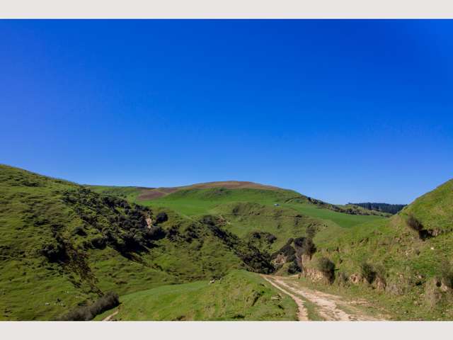 1456 Rangitatau East Road Ruapehu-King Country Surrounds_3