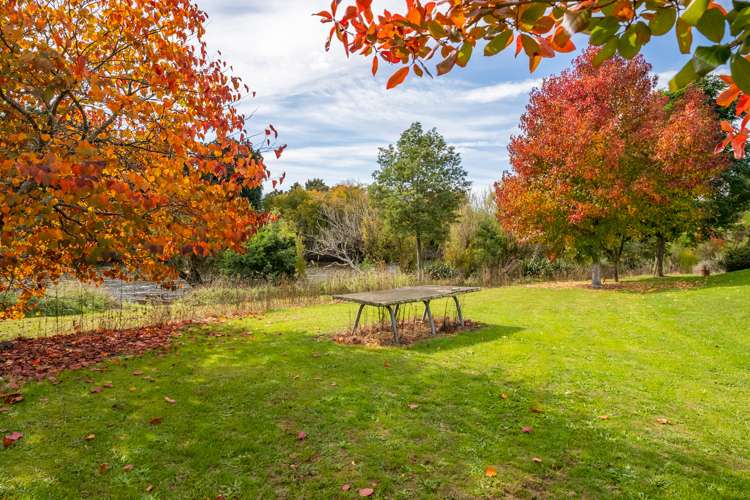 1370 Motueka Valley Highway Ngatimoti_19