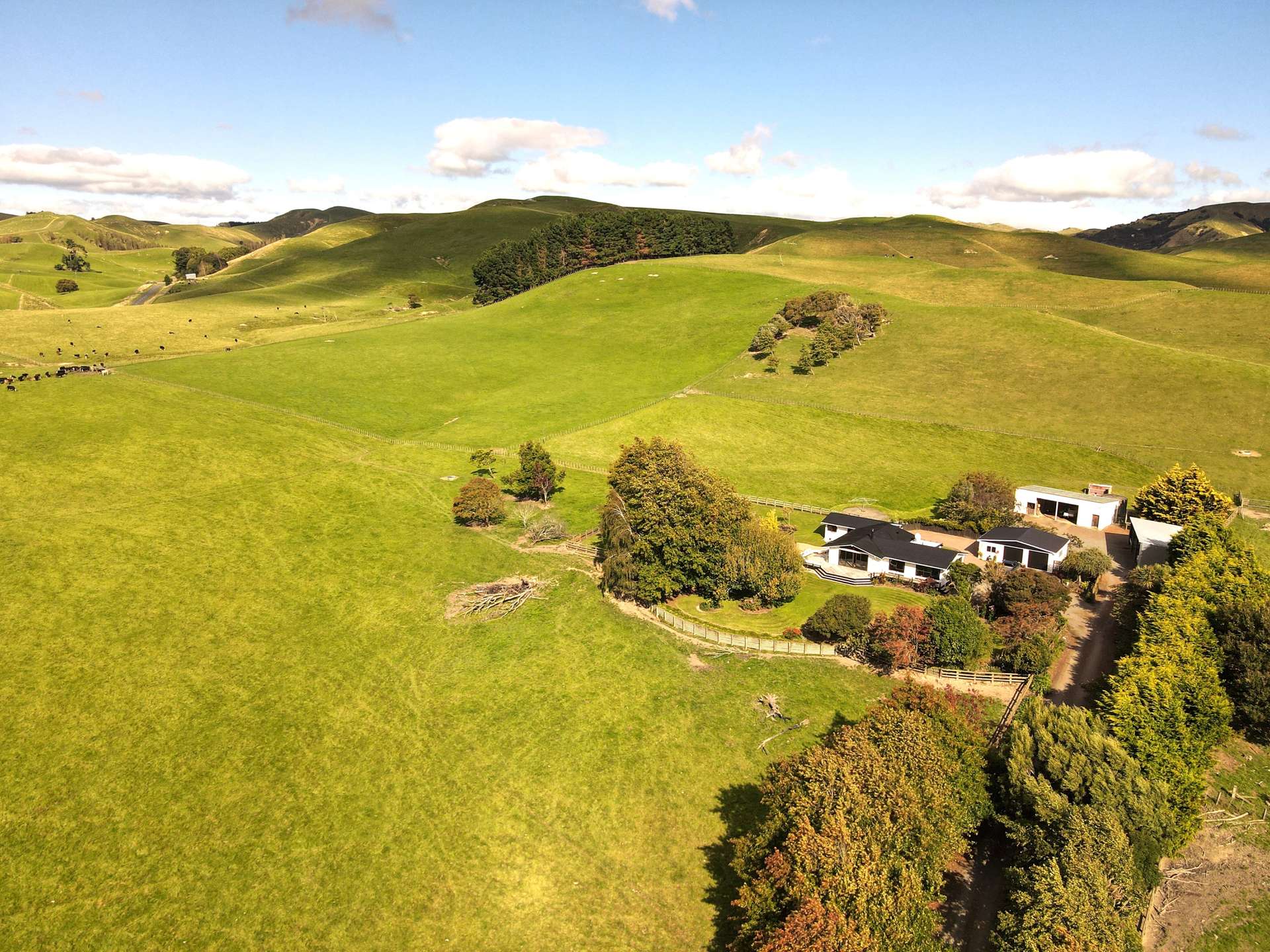 672 Weber Road Dannevirke_0