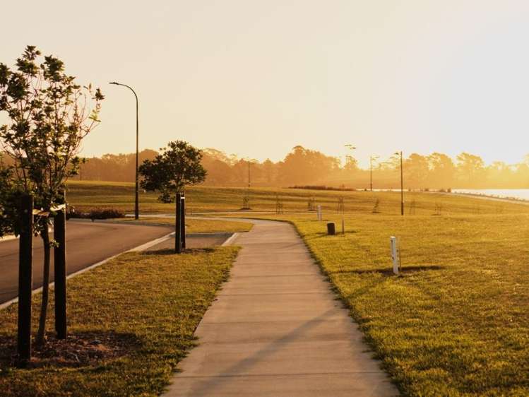 Pararekau Island Karaka_10