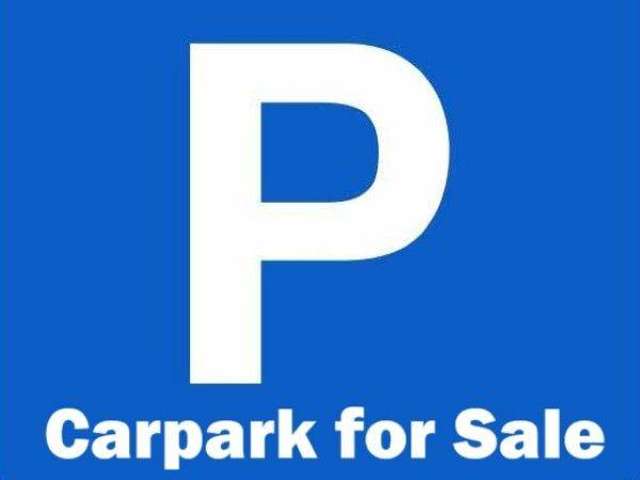 Cpk 1D/8 Albert Street City Centre_1