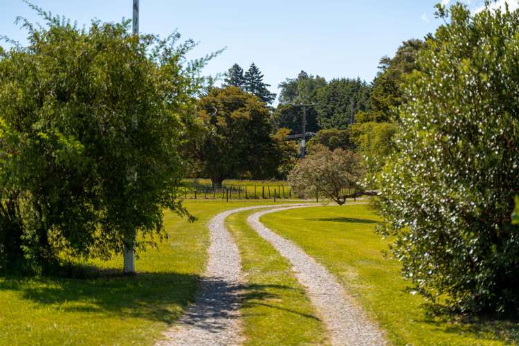 27 Tararua Drive Upper Plain_17