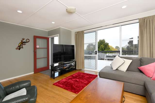 140 Hiskens Place Te Awamutu_2