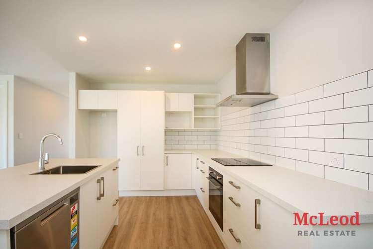 86a George Street Tinwald_2