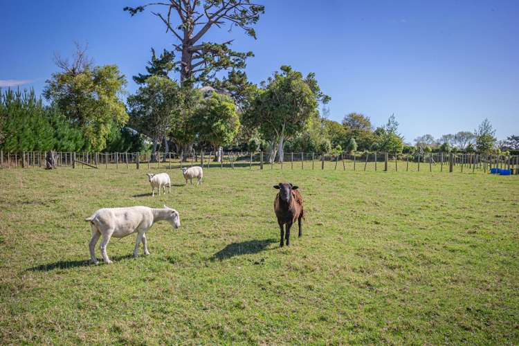 49 Wakefield Road Levin_22