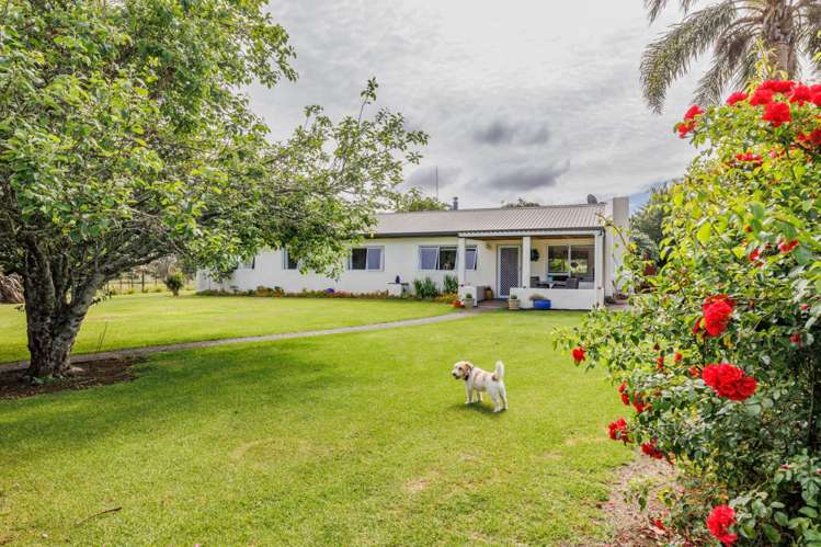 408 Waimate North Road Kerikeri_5