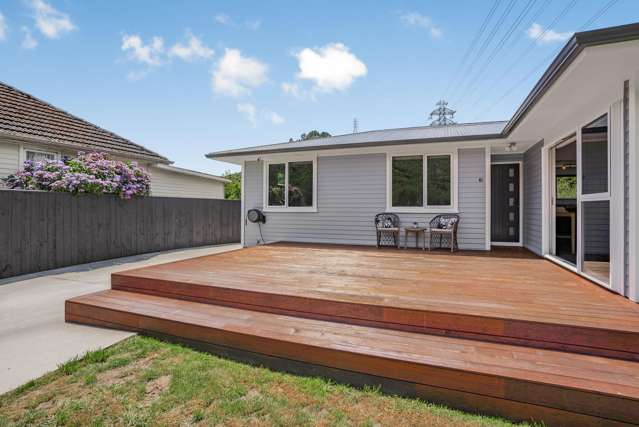 61 Black Beech Street Birchville_2