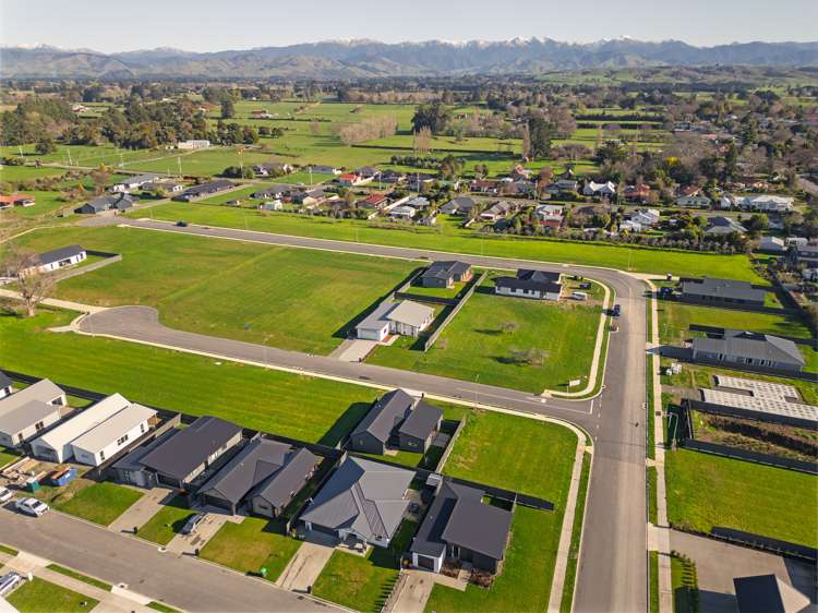 Lot 161 West Bush Masterton_0