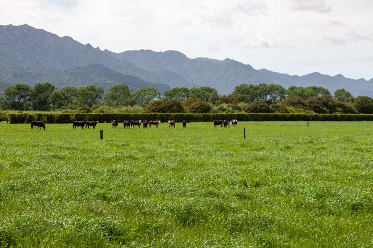 231a Stanley Road Te Aroha_8