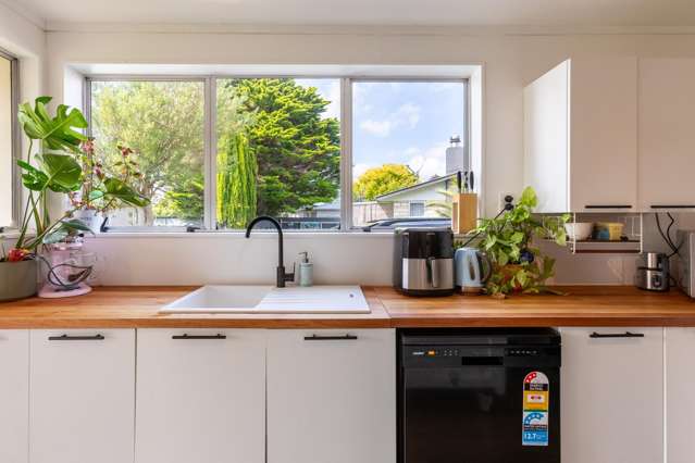 15 Runciman Place Dannevirke_4