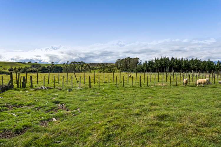 51 Sole Road Ngaere_33