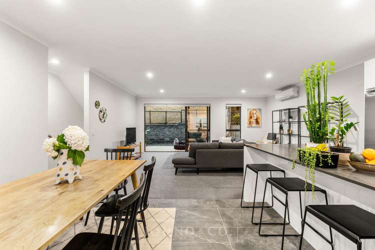 20 Charles Heaphy Lane Stonefields_5