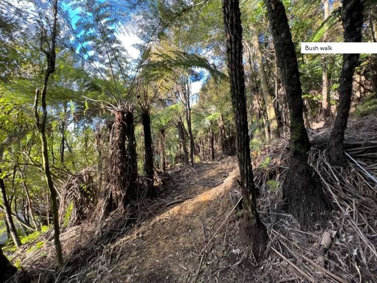 211 Krippner Road Puhoi_10