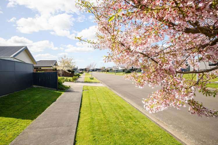 Lot 57 Kanzan Grove Extension Feilding West_17