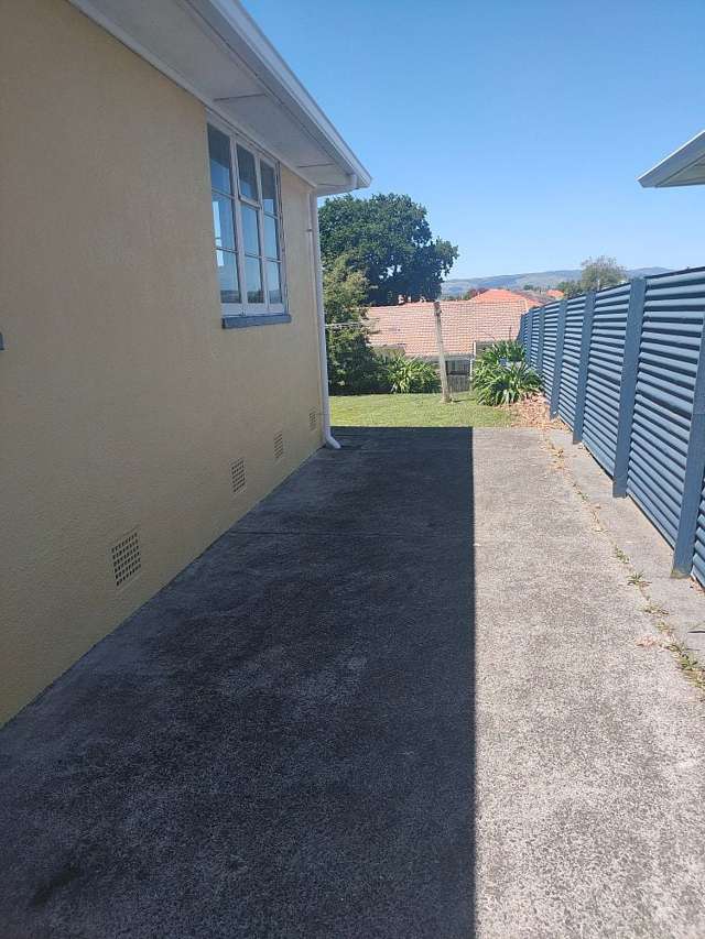 616 Featherston Street Roslyn_2
