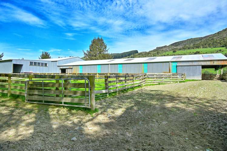 439 Rakauroa Road Matawai_5