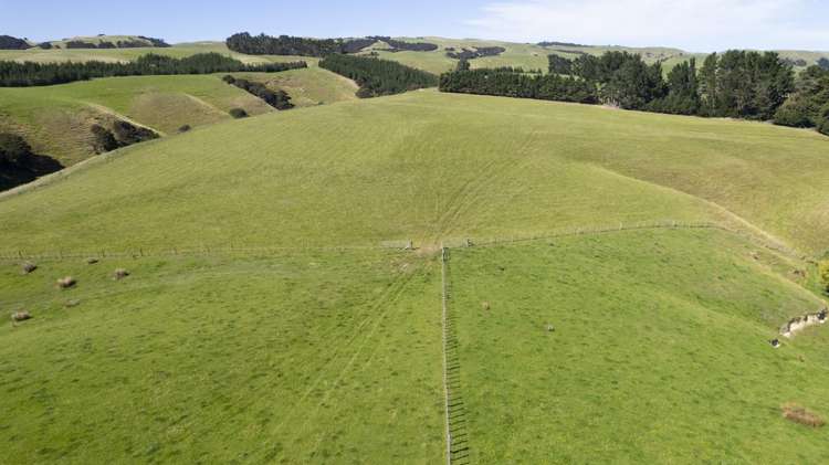 453 Dry River Road Martinborough_8