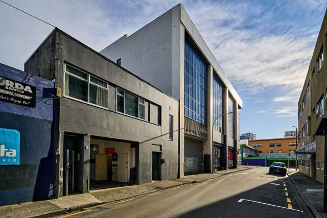 4 Walter Street Te Aro_1