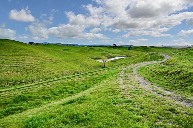 2152 Puketitiri Road Central Hawkes Bay Coastal_28