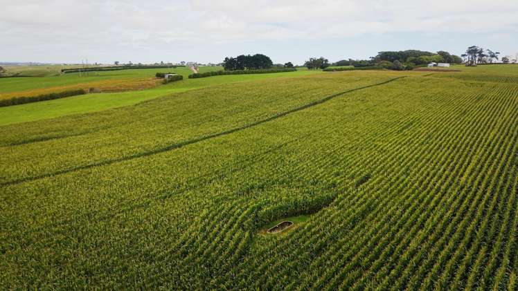 339A South Road Hawera_14