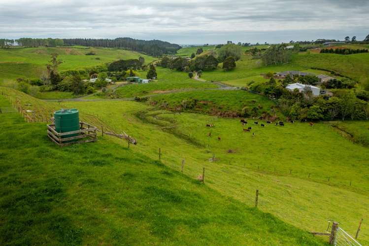 79 Dorset Road Hillsborough_35