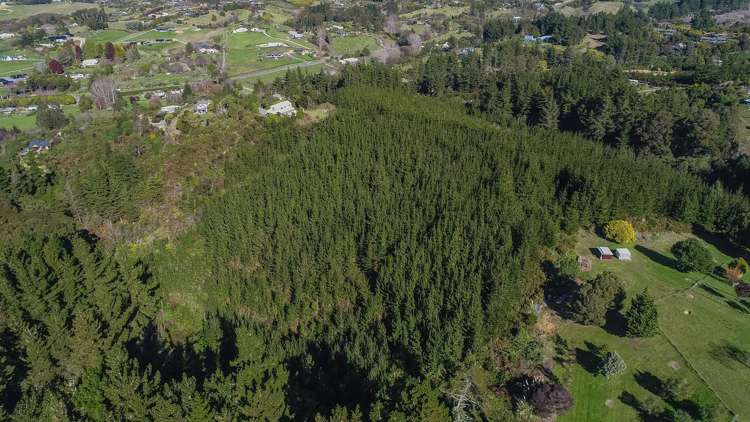 168 Seaton Valley Road Upper Moutere_1