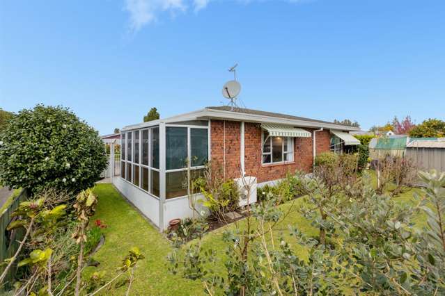 151b Boucher Avenue Te Puke_1