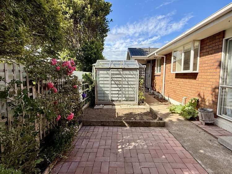 64 Maitland Street Strathern_33