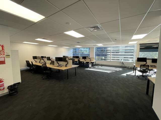 139 Carlton Gore Road Newmarket_3