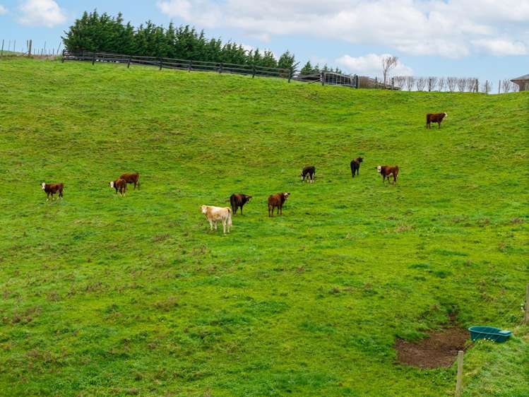 166b Te Tuhi Road Okauia_27