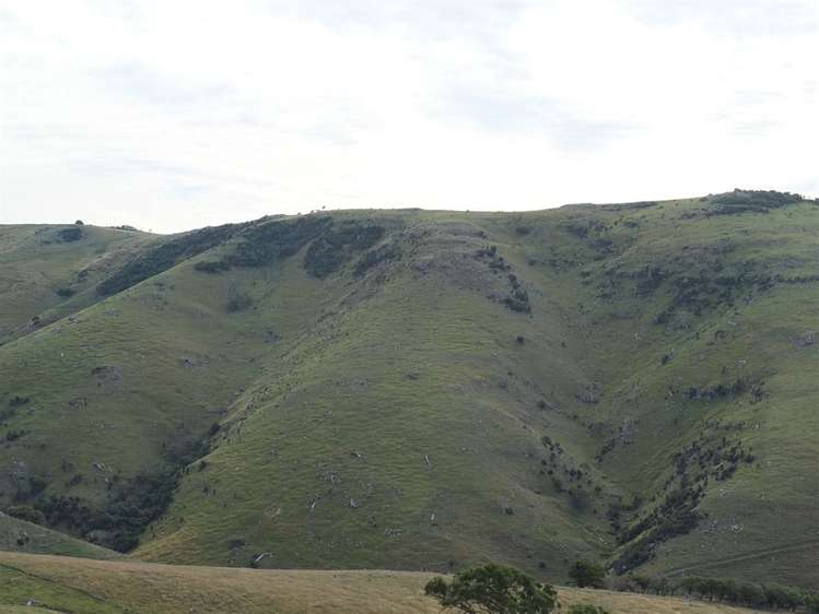 831 Chorlton Road Little Akaloa_32